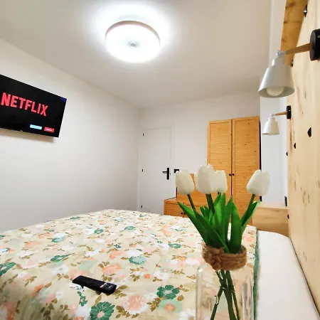 Lägenhet Parking Gratis Vigilado 24h Tranquilo Centro De Vialia *