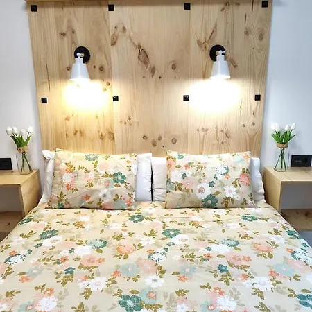 Lägenhet Parking Gratis Vigilado 24h Tranquilo Centro De Vialia Vigo