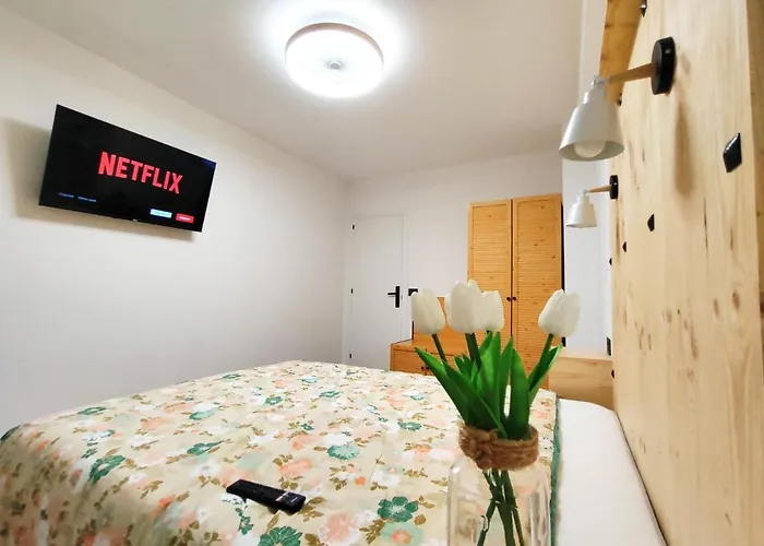 公寓 Parking Gratis Vigilado 24h Tranquilo Centro De Vialia *