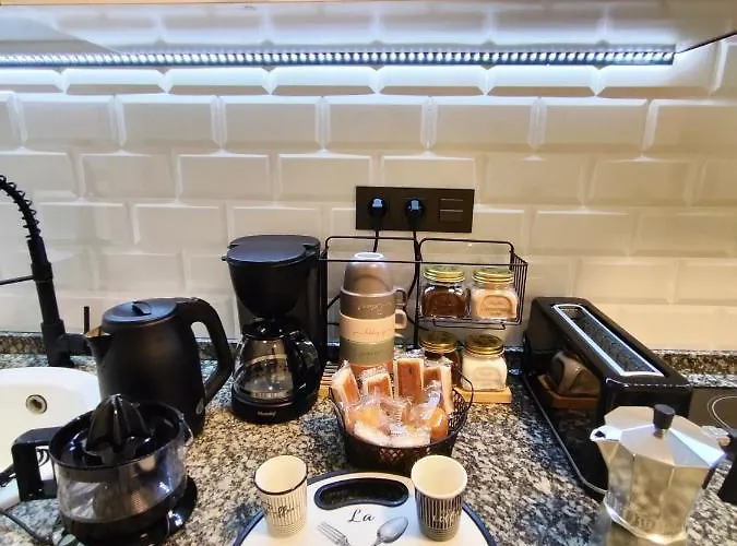 Parking Gratis Vigilado 24h Tranquilo Centro De Vialia 公寓