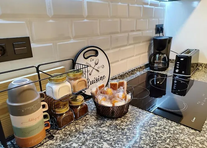 Parking Gratis Vigilado 24h Tranquilo Centro De Vialia 公寓 *